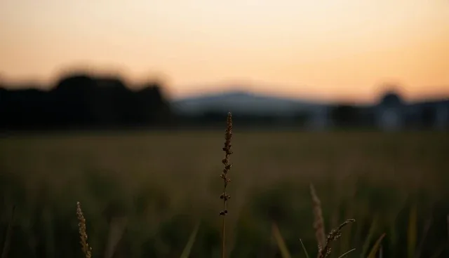 技术推广如何助力成果转化实现业务升级